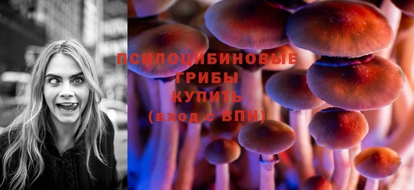 альфа пвп Гусиноозёрск