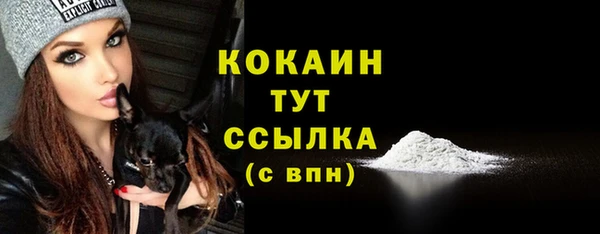 тгк Горно-Алтайск