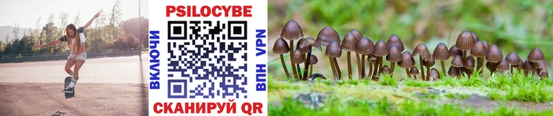 Купить где  Шуя  Галлюциногенные грибы Cubensis 